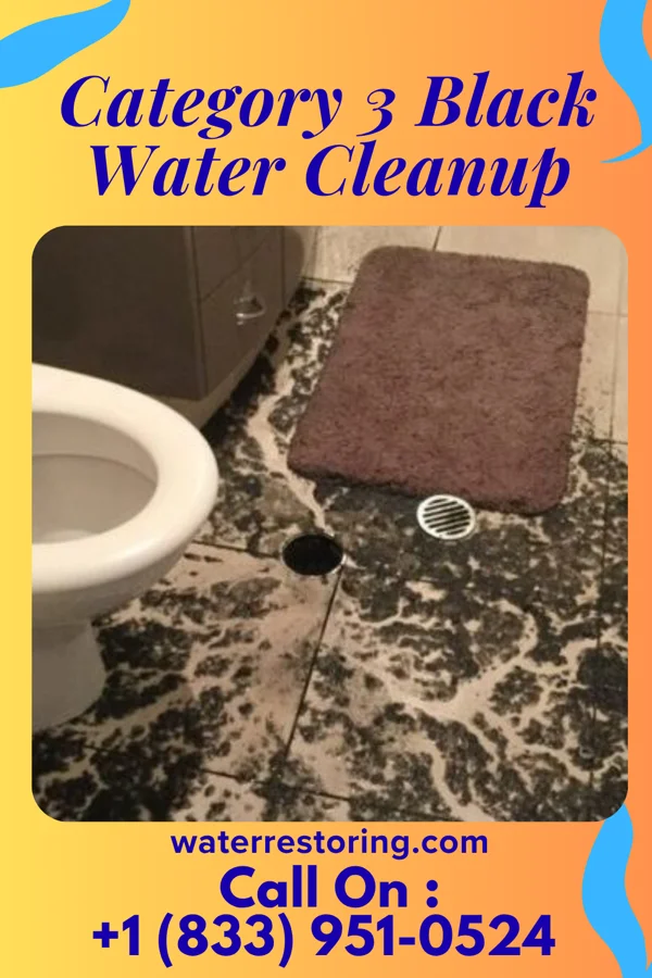 Category 3 Black Water Cleanup in Sutton, NE