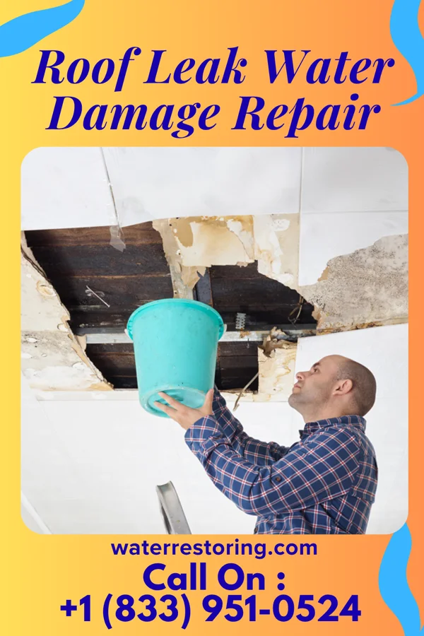 Roof Leak Water Damage Repair in Sutton, NE