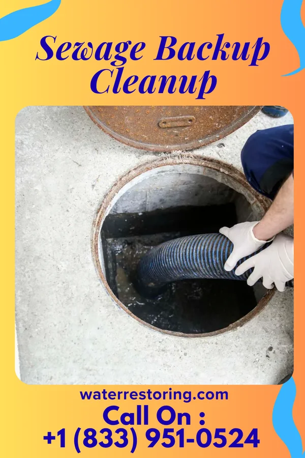 Sewage Backup Cleanup in Sutton, NE